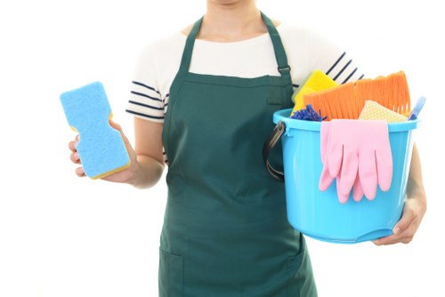Professional carpet cleaning in a Paddington home