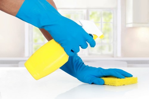 Steam cleaning curtains to refresh and sanitize fabric