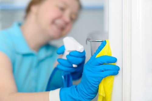 Professional upholstery cleaning in a modern living room sofa
