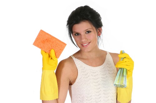 Using enzyme cleaner for pet stain odour removal