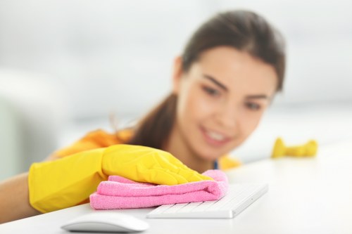 Pet-friendly carpet cleaning in a family home