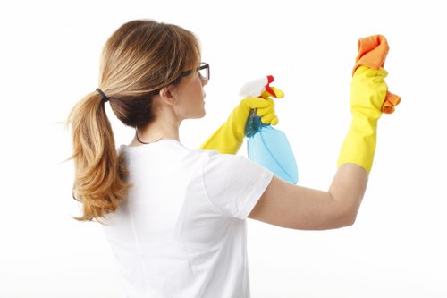Mattress stain treatment and spot cleaning at home