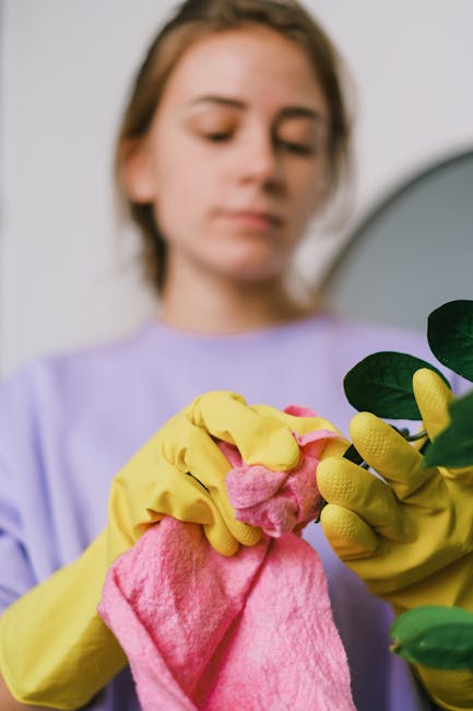 Two professional cleaners from Paddington Carpet Cleaners are performing surface cleaning and deep cleaning in a modern living room. One cleaner, on the left, uses a vacuum cleaner on the wooden floor
